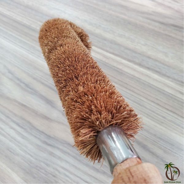 Cây Cọ Ly Cốc - Hình ảnh 4