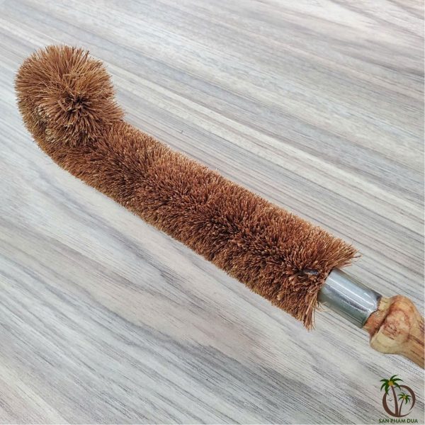 Cây Cọ Ly Cốc - Hình ảnh 3