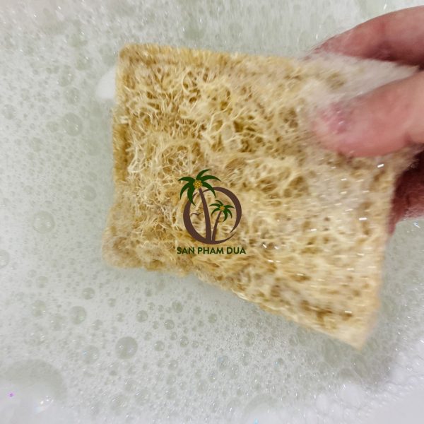 Miếng Rửa Chén Xơ Mướp - Hình ảnh 2